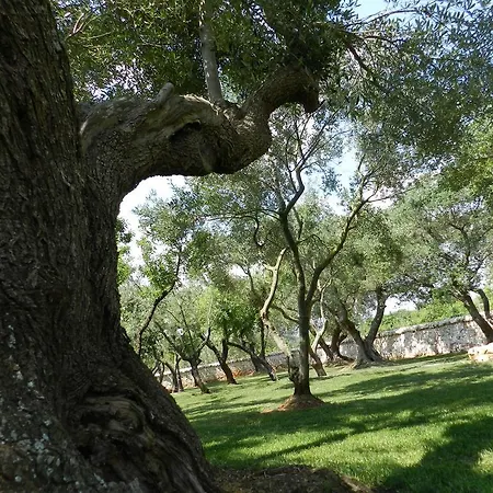 I Trulli Del Nonno Michele Country house