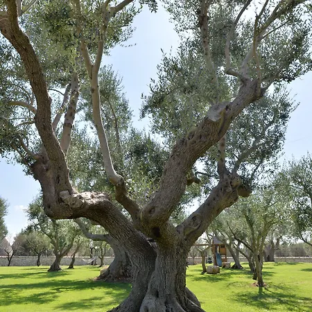 I Trulli Del Nonno Michele Séjour à la campagne Alberobello